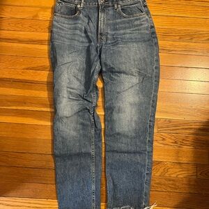 Everlane The Curvy Cheeky Jean